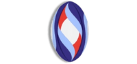 Coque Rugby