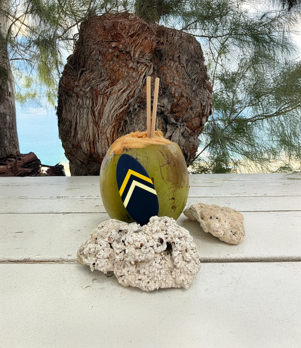 Walkie Surf Sunset - Money Walkie