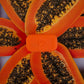 walkie orange sur un arrière plan représentant une papaye