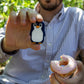 Walkie Pingouin - Money Walkie
