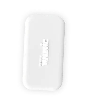 Walkie (sans coque) - Money Walkie