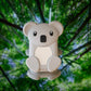 Walkie koala vu de face devant une forêt de bambous