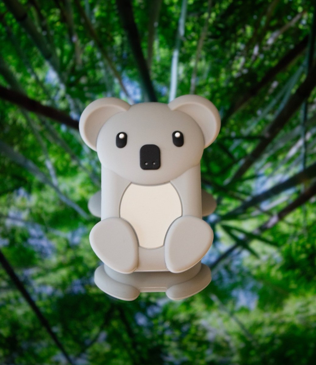 Walkie koala vu de face devant une forêt de bambous